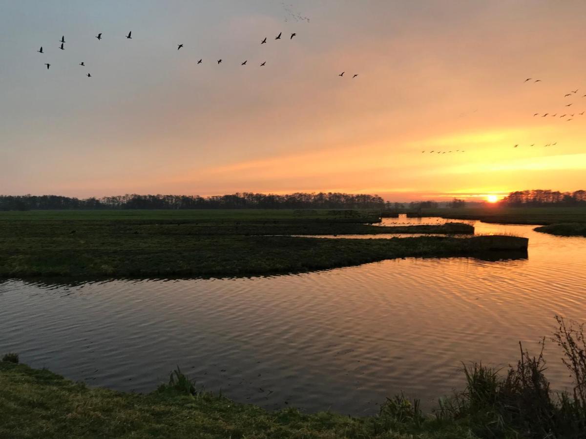 Natuurhuisje *